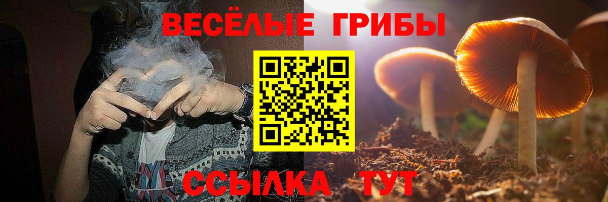 Псилоцибиновые грибы Psilocybine cubensis  Вход с VPN  Старый Оскол 